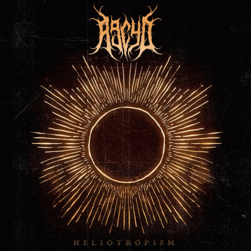 After Nine Comes Forty : Heliotropism